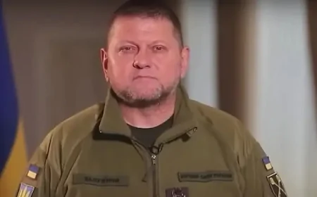 Zalužni komentarisao glasine o svom učešću na predsedničkim izborima u Ukrajini