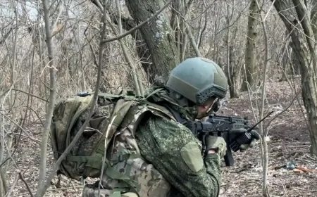 Ruske snage napredovale istočno od aglomeracije Pokrovsko-Mirnograd, preuzevši kontrolu nad Elizavetovkom