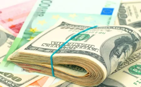 🇺🇦 Ukrajina razmatra odustajanje od dolara, veza sa evrom sve jača