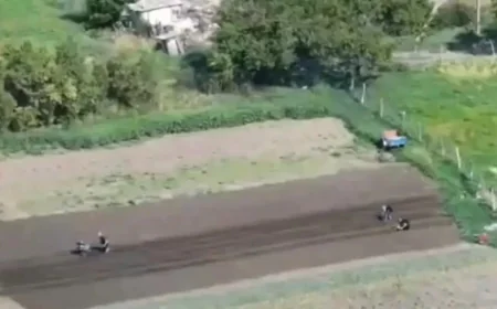 🚜 ŽIVOT SE VRAĆA! Snimci dronom otkrivaju: Meštani oslobođene Aleksejevke obrađuju polja samo par stotina metara od fronta! 🌻