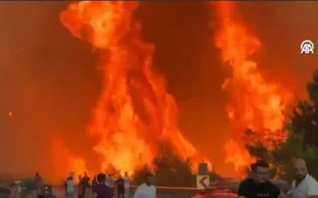 🔥 Turska u plamenu: Evakuacija u Bursi dok vatra guta naselja i šume