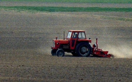💵 Fantastično otkriće u Kolumbiji: farmer našao 600 miliona dolara zakopano u zemlji