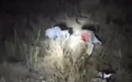 ✈️ Prvi snimci srušenog aviona u Turskoj: Na avionu i načelnik Generalštaba Libije (FOTO/VIDEO)