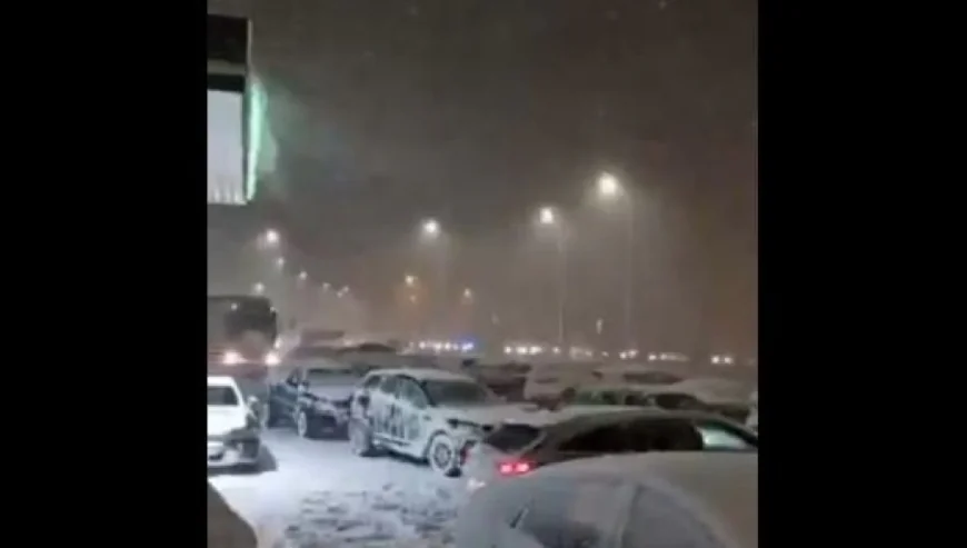 ❄️ Snežna oluja paralisala Poljsku: Kolona vozila duga 20 km, stotine ljudi zarobljene na autoputu