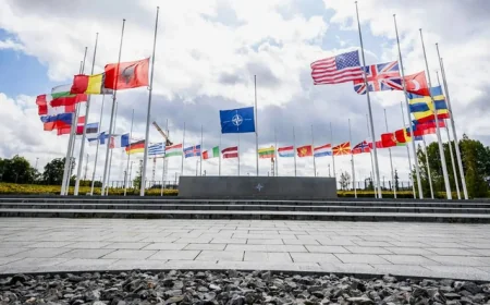 Tramp iz Davosa „troluje“ NATO: Proveriti član 5 i poslati Alijansu na južnu granicu SAD