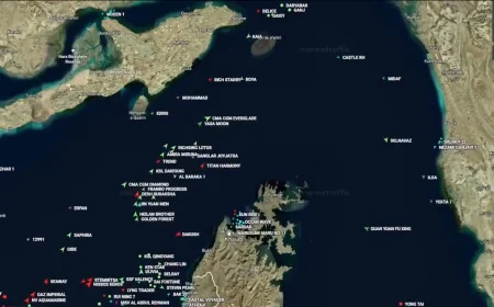 🚢 Misterija u Ormuskom prolazu: 12 brodova iznenada promenilo kurs!